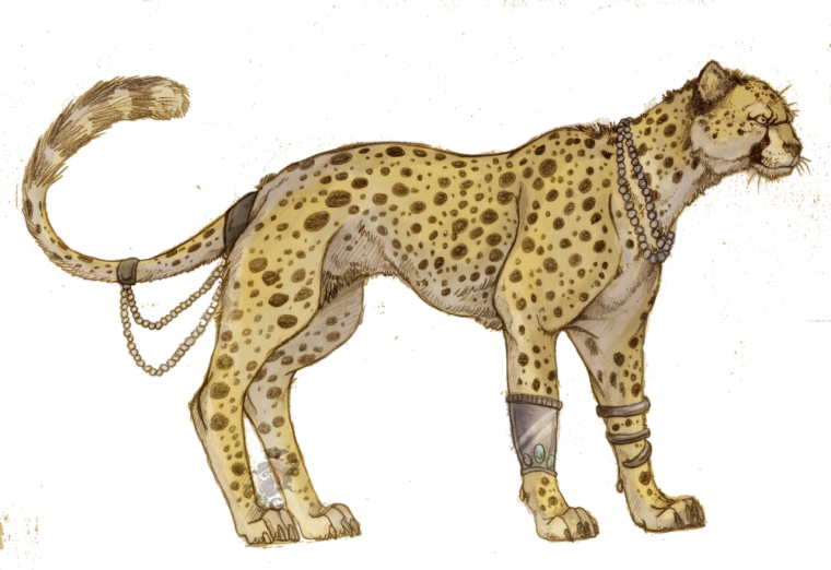 Гепард сидит на белом фоне