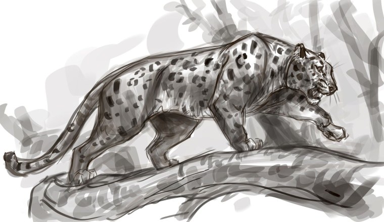Гепард рисунок для детей для срисовки