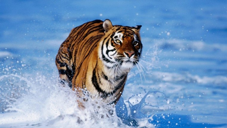 Телевизор JVC lt-40m450 40" (2018)