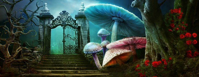 Алиса в стране чудес обои на телефон