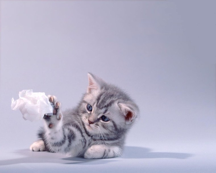 Реклама вискас