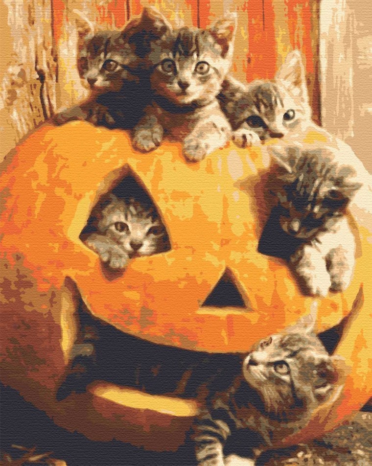 Кот в тыкве