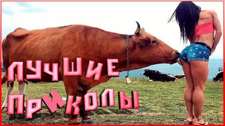 Смешные приколы до слез ржака