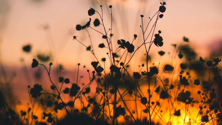 Красивые обои на ноутбук Эстетика