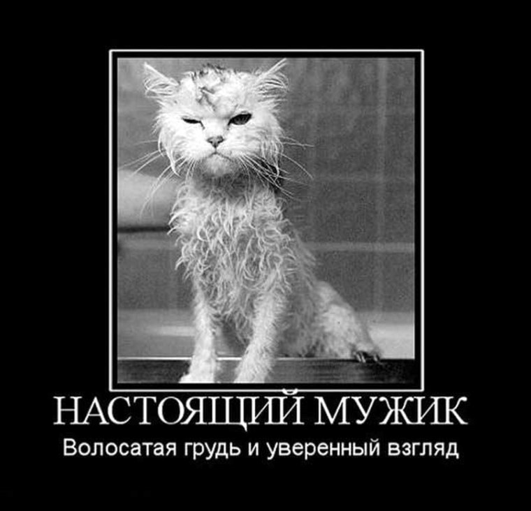 Картинки для настоящих мужчин