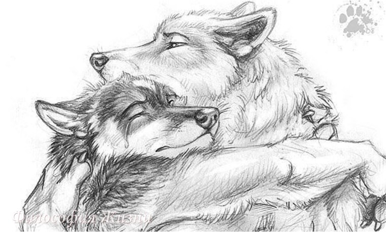 Девочка обнимает волка