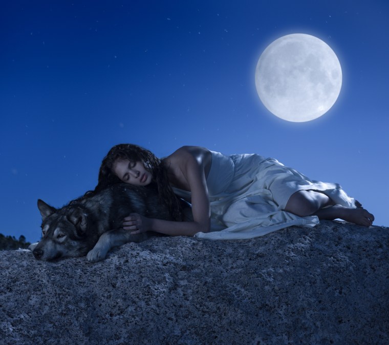 Волчица картинки красивые