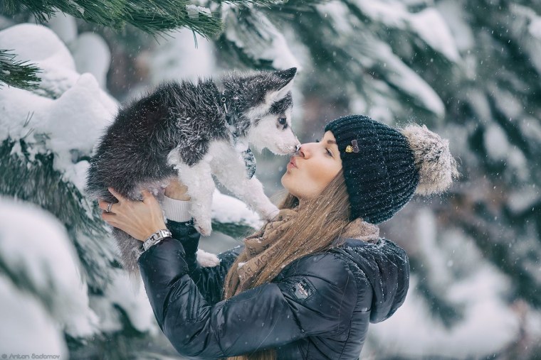 Девушка среди Волков