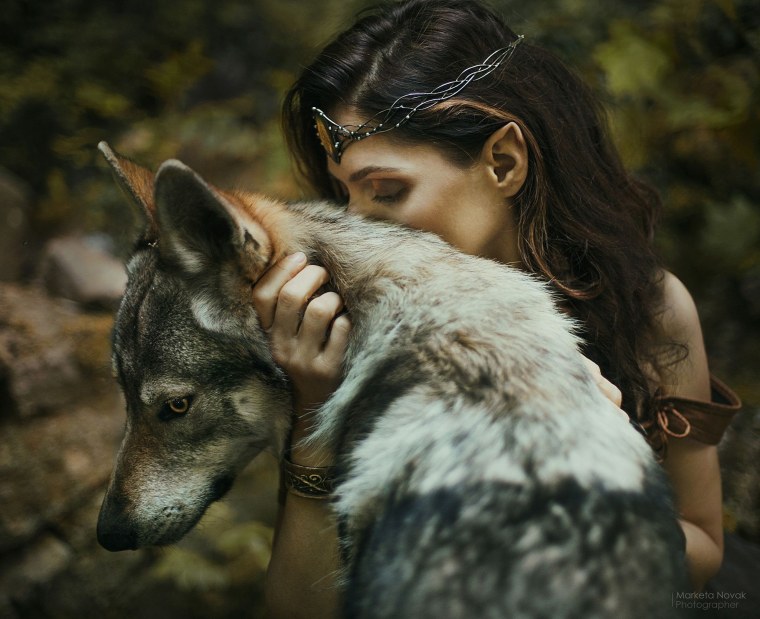 Волчица и девушка