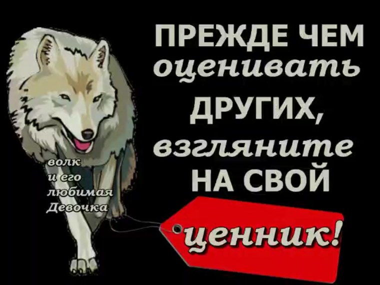 Волк с розой в зубах