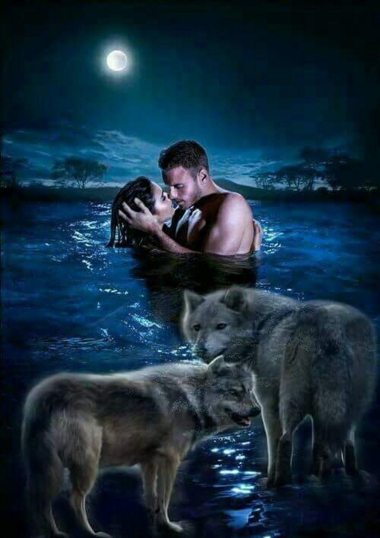 Волки цитаты в картинках