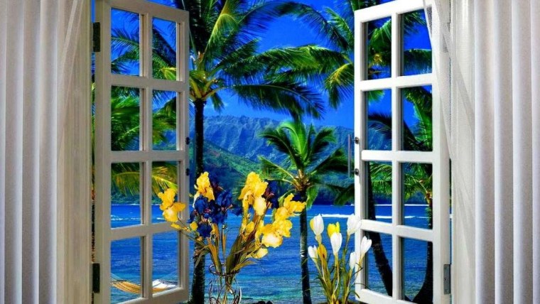 Прекрасный вид из окна