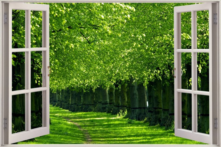 Окно с видом на природу