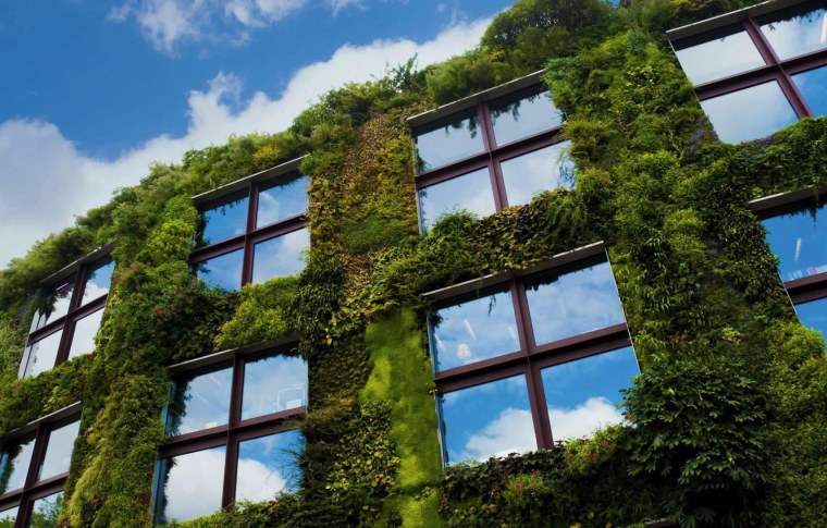 Окна во Франции