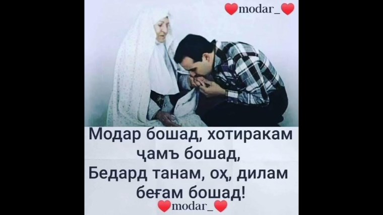 Шер дар модар