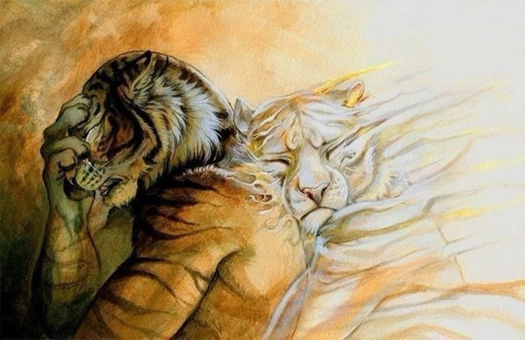 Тигры объятия