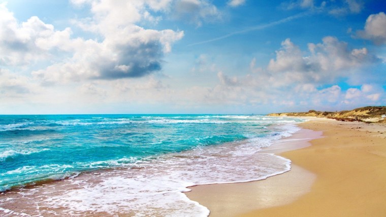 Море пляж пальмы