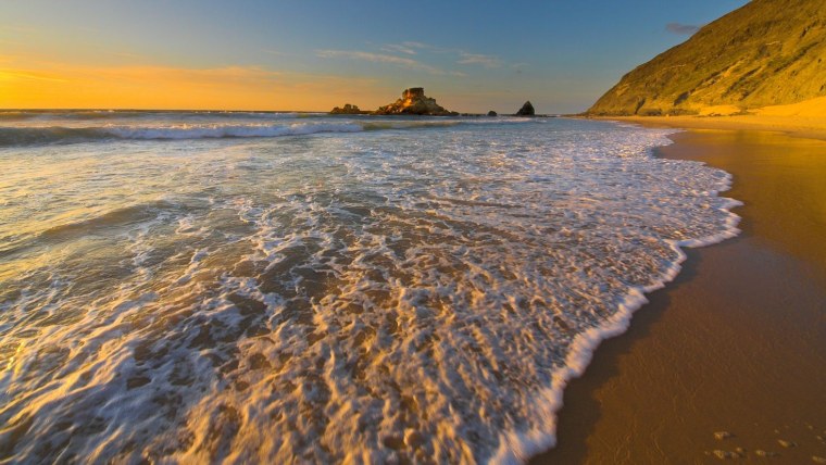 Пальмы и океан