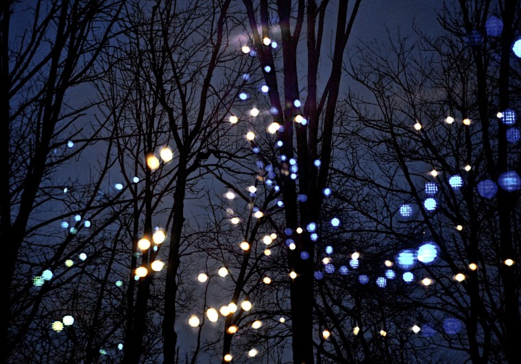 Мрачная зима