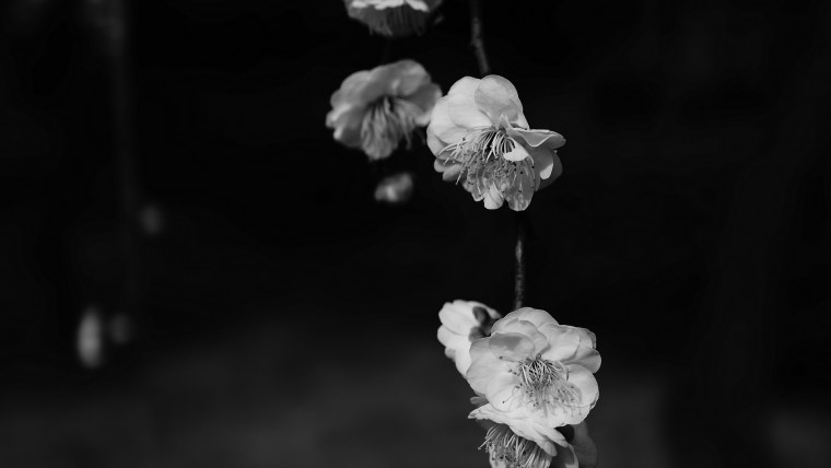 Минимализм рисунки