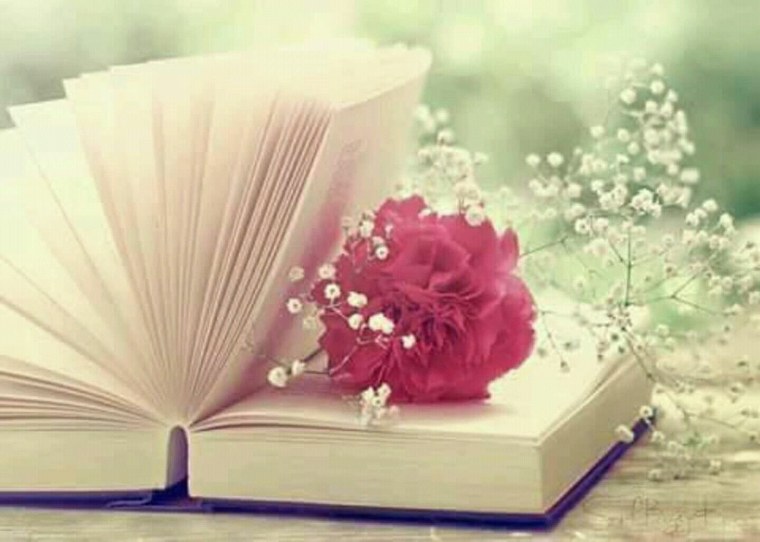 Книга с цветами