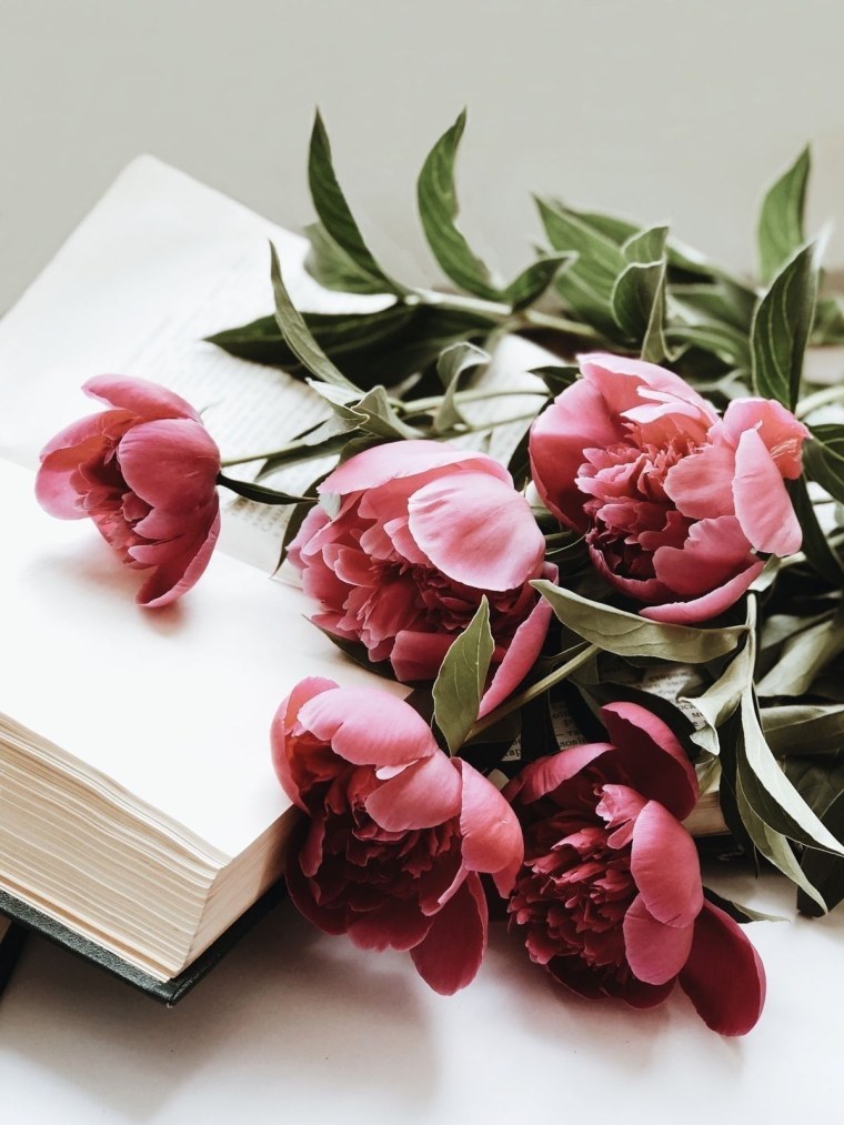 Флетлей пионы