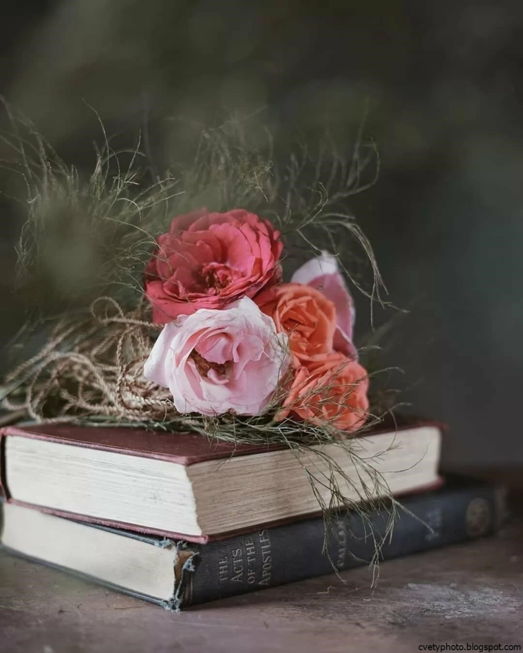 Книга цветы