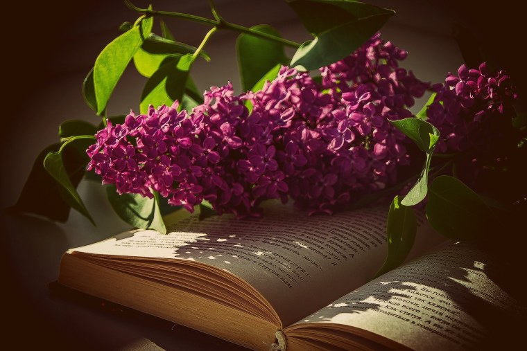 Книга про цвет