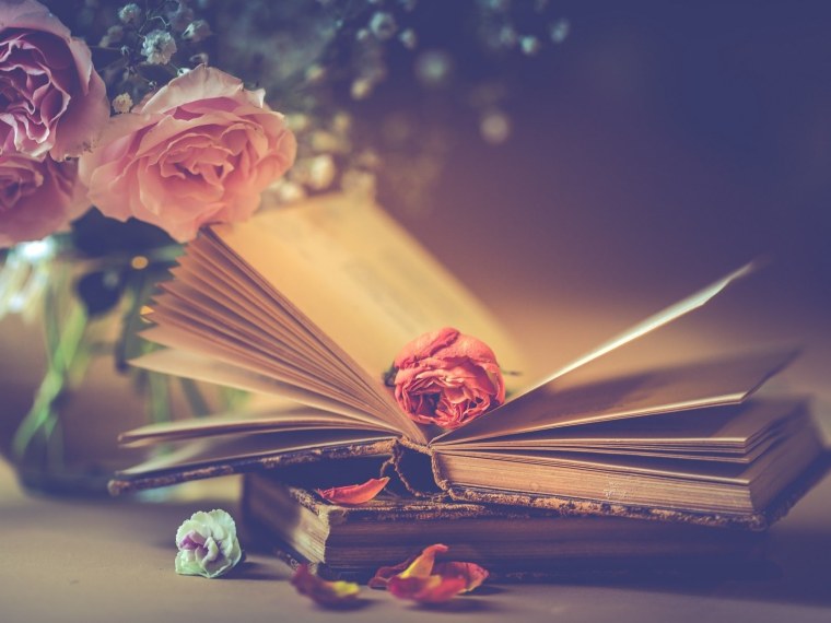 Красивые книги