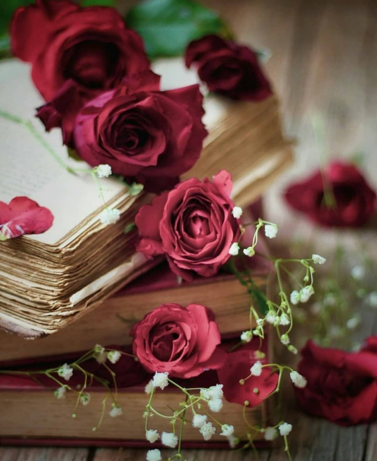 Книга цветы