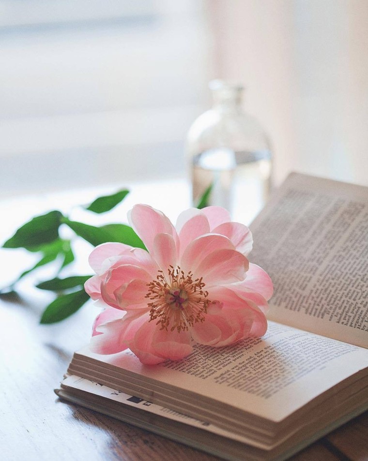 Книжный цветок