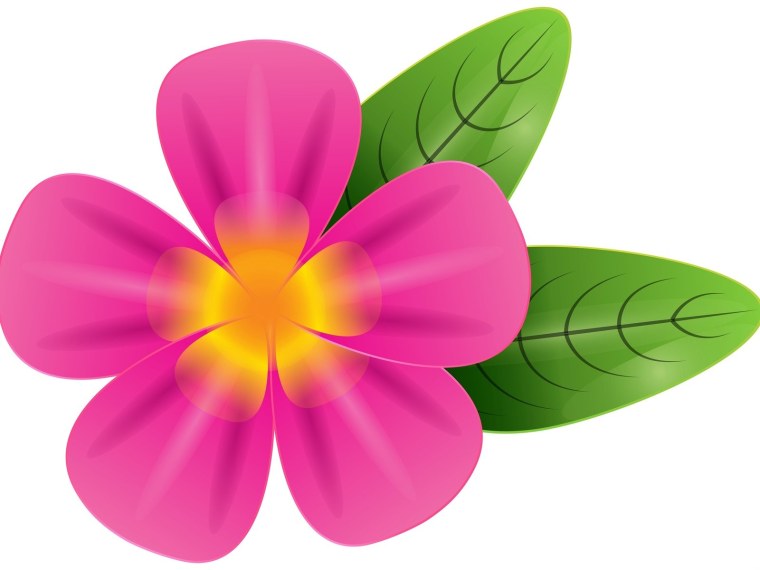 Цветочки для детей