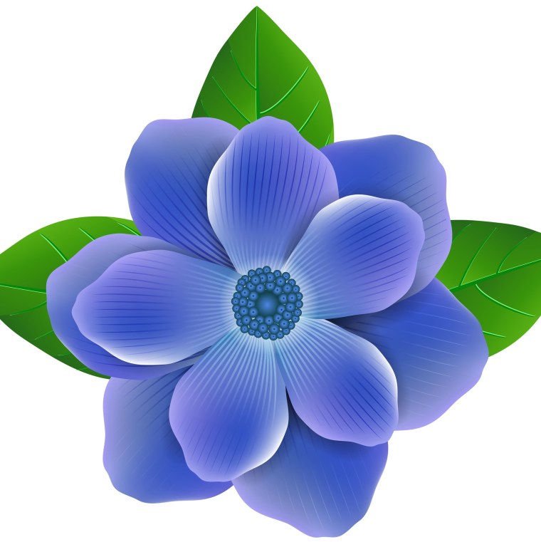 Цветы на прозрачном фоне