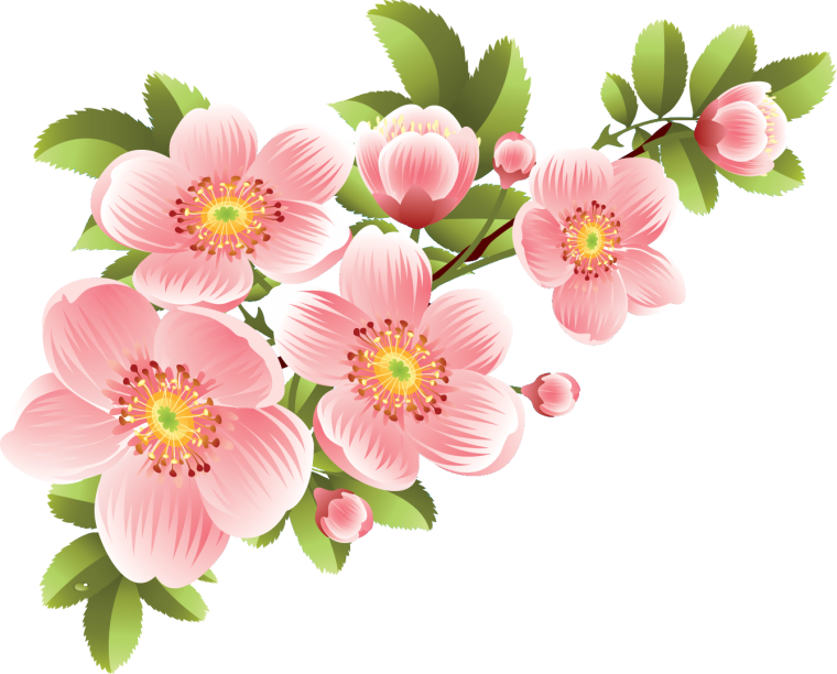 Цветы на прозрачном фоне