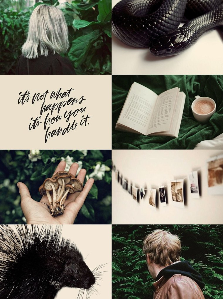 Слизерин Эстетика Драко