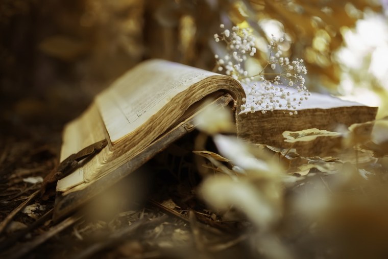 Книга Макросъемка