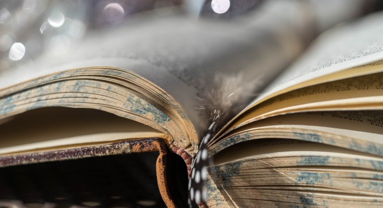 Листая книжные страницы