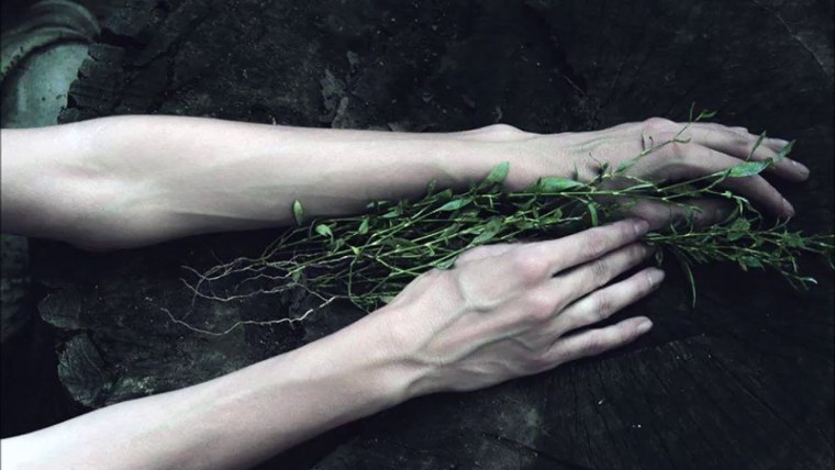 Руки в траве Эстетика