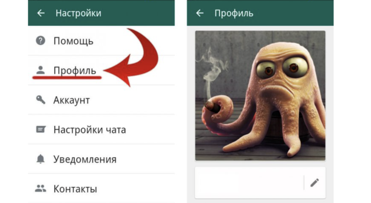 Кот охотник