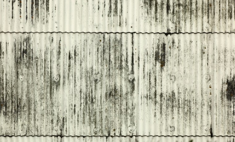 Ондулин во мху