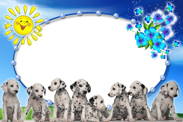 Фон для презентации домашние питомцы