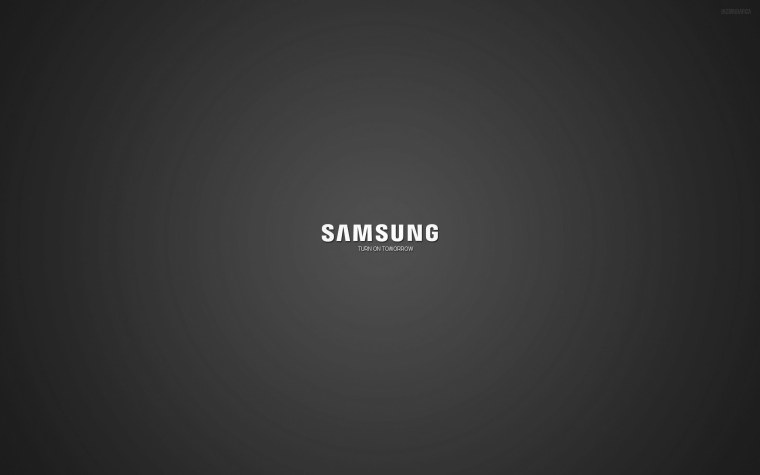 Кот Минимализм