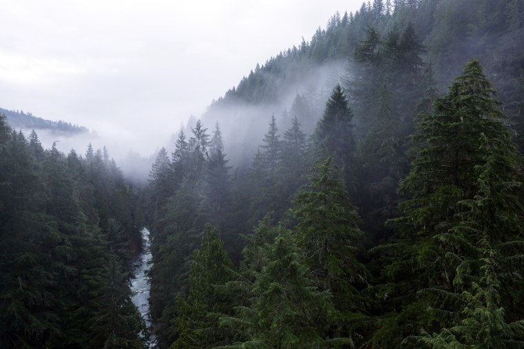 Штат Форкс природа