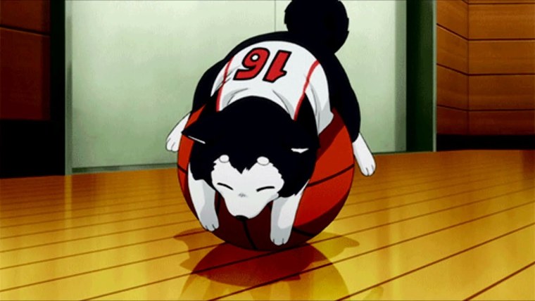 Аниме баскетбол Куроко собачка