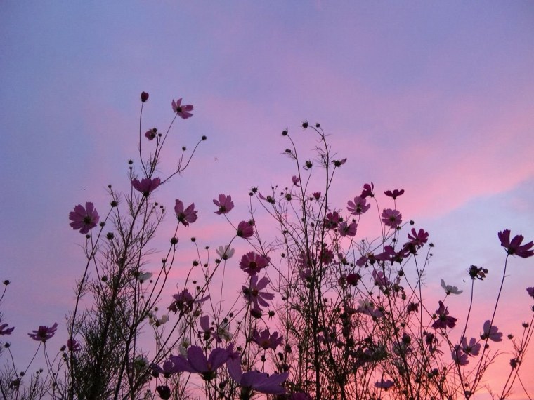 Эстетика фиолетового цвета комната