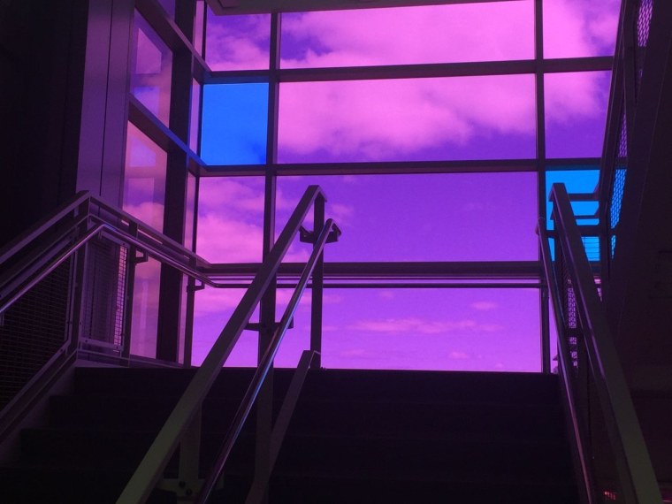 Эстетика фиолетовых цветов