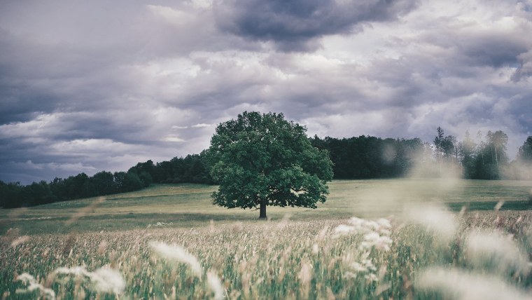 Природа Эстетика горизонтально