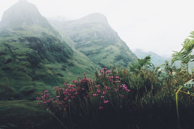 Эстетика природы