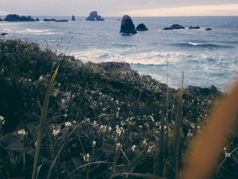 Эстетика природы пляж