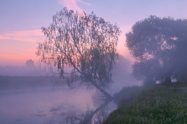 Туманный рассвет